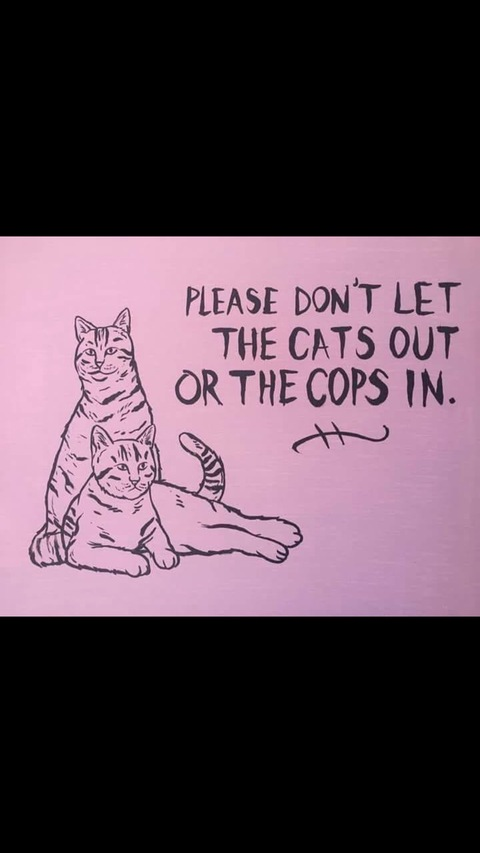 Leaked manddderbaby header onlyfans leaked