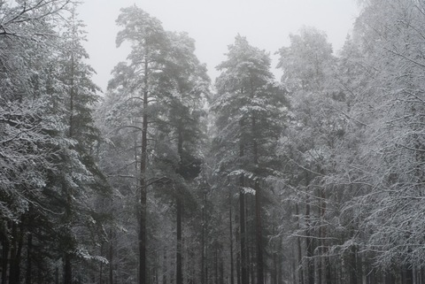 Leaked mariannamosesova header onlyfans leaked