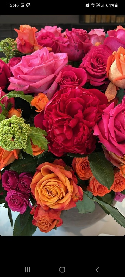 Leaked maribelmonteok header onlyfans leaked