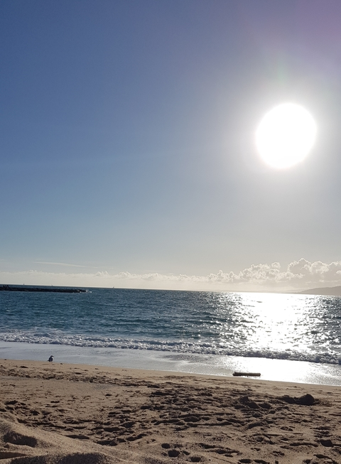 Leaked marjo header onlyfans leaked