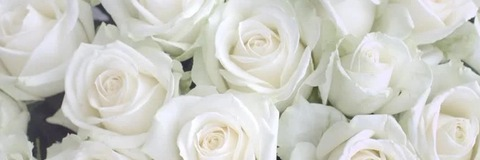 Leaked markyxmonroe header onlyfans leaked