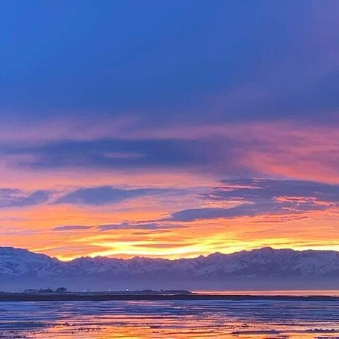 Leaked mary_j header onlyfans leaked