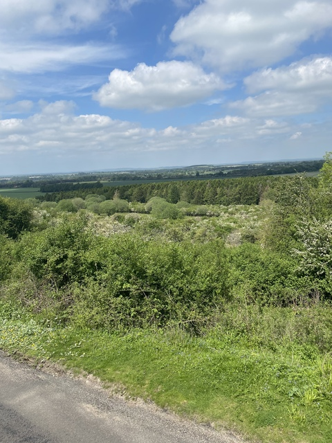 Leaked mat_l1990 header onlyfans leaked