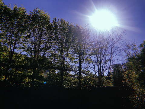 Leaked matildapeach header onlyfans leaked