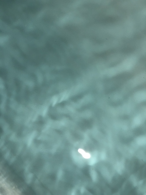 Leaked meghan-morgan header onlyfans leaked