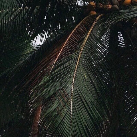 Leaked meli_burn header onlyfans leaked