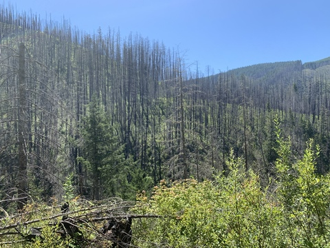 Leaked melinoegoddess header onlyfans leaked