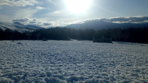 Leaked melissa_col header onlyfans leaked