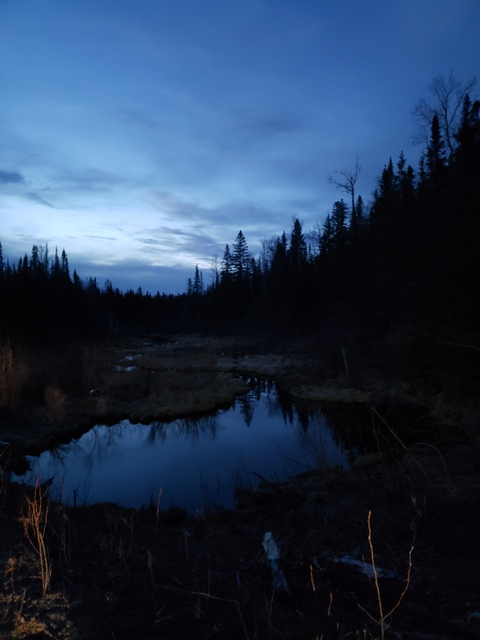 Leaked mercedes_north header onlyfans leaked