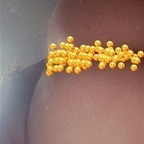 Leaked mexicanmami666 onlyfans leaked