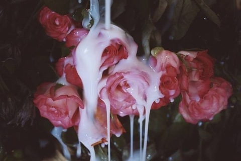 Leaked mich897 header onlyfans leaked