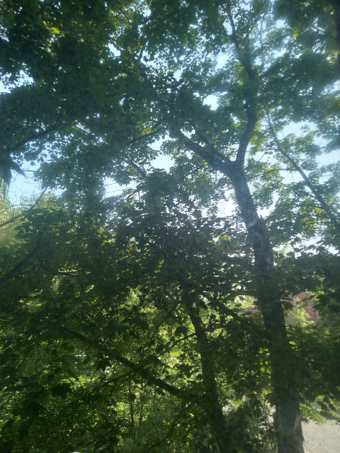 Leaked midsummersdayd1 header onlyfans leaked