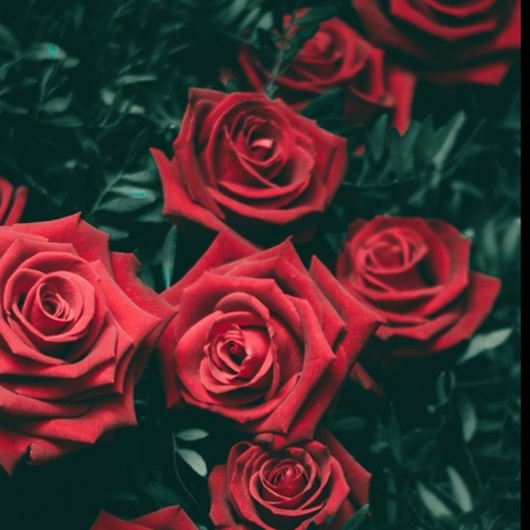 Leaked miemora header onlyfans leaked