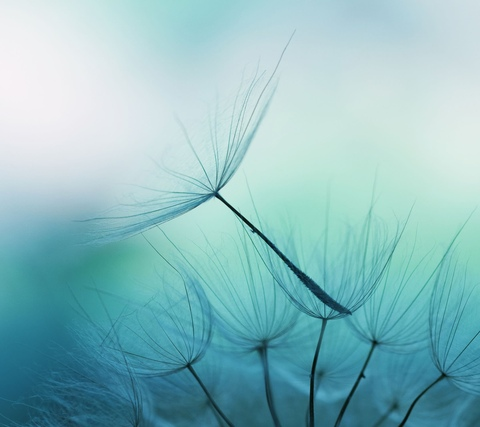 Leaked mila-fox header onlyfans leaked