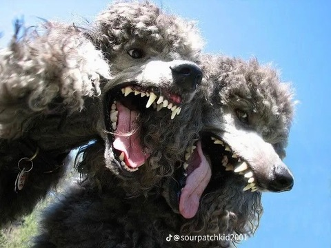 Leaked milaloolemon header onlyfans leaked