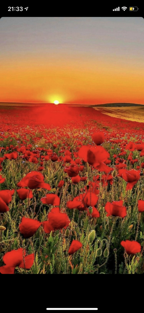 Leaked military_wife header onlyfans leaked