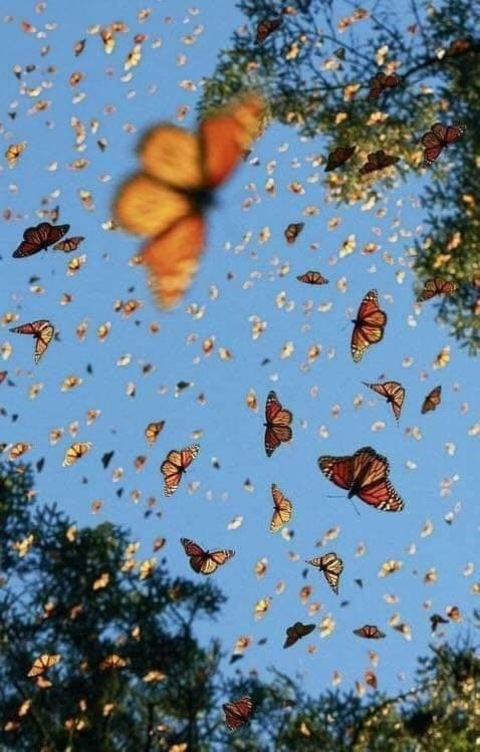 Leaked milkandhoneyyy header onlyfans leaked