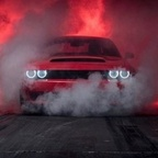 minenightowl Profile Picture