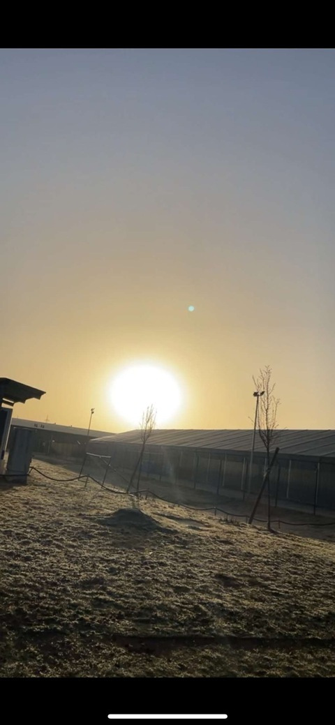 Leaked mirandajackson_22 header onlyfans leaked