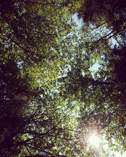 Leaked miss_holly header onlyfans leaked