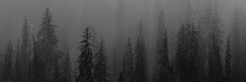 Leaked miss_reinat header onlyfans leaked