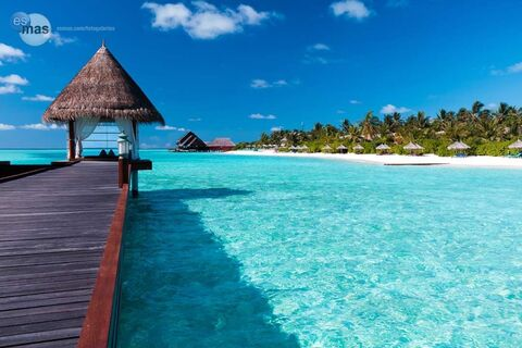 Leaked missabigail19 header onlyfans leaked