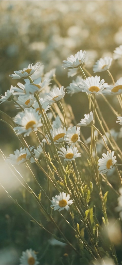 Leaked mkletsplay header onlyfans leaked