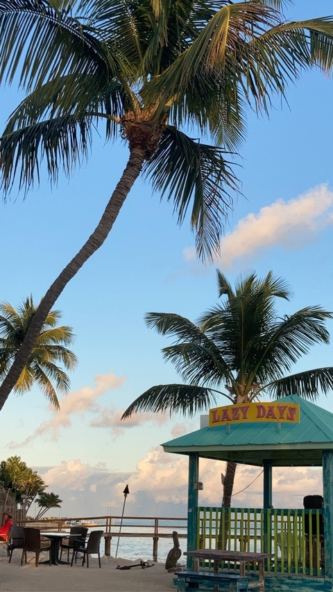 Leaked moniquealex header onlyfans leaked