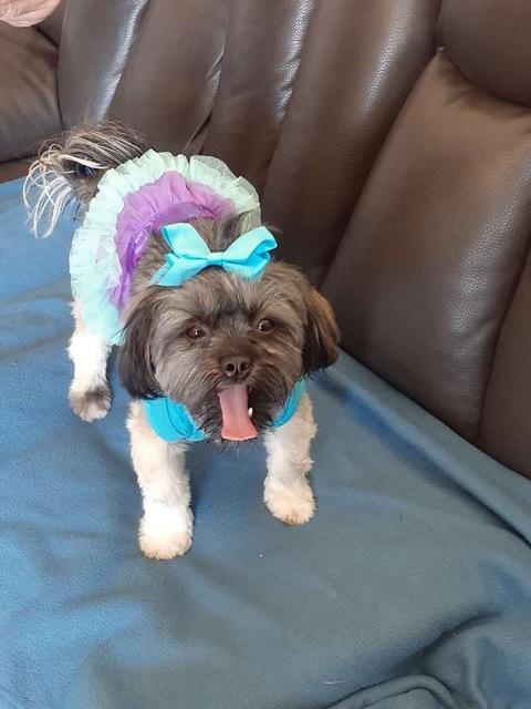 Leaked monkeyboyyeet header onlyfans leaked