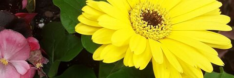 Leaked moonchild200 header onlyfans leaked