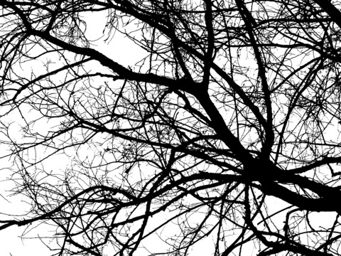 Leaked morgan_hellion header onlyfans leaked