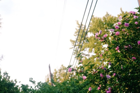 Leaked morgantrinity header onlyfans leaked