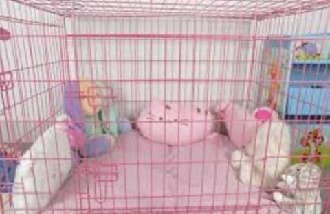 Leaked moss.puppie header onlyfans leaked