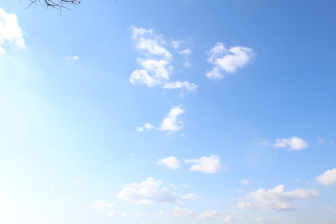 Leaked mostlyhorny96 header onlyfans leaked