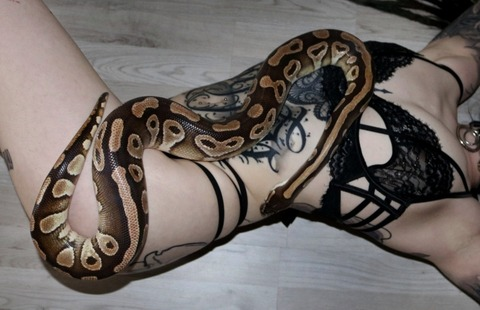 Leaked moxxipleasing header onlyfans leaked