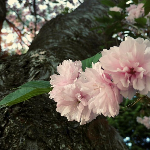 Leaked mrsnaughty022 header onlyfans leaked