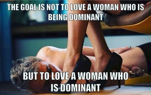 Leaked mysirensong header onlyfans leaked