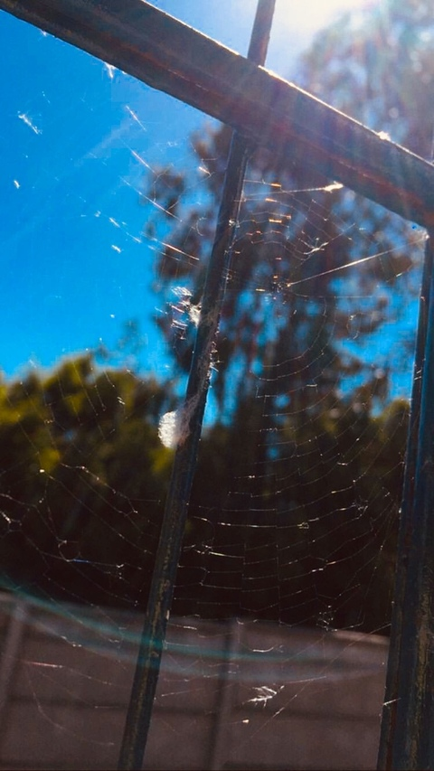 Leaked nahoomt header onlyfans leaked