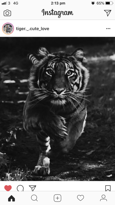 Leaked nate1983 header onlyfans leaked