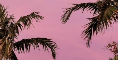 Leaked nathanielxxl header onlyfans leaked