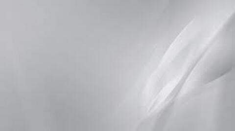 Leaked naughty.noel header onlyfans leaked