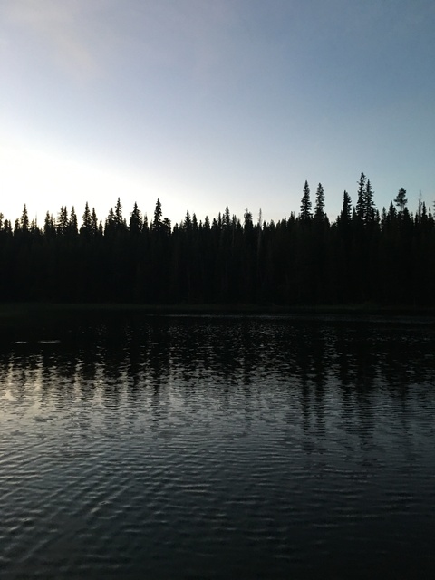 Leaked naughtycarebear69 header onlyfans leaked