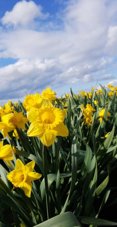 Leaked naynay36 header onlyfans leaked