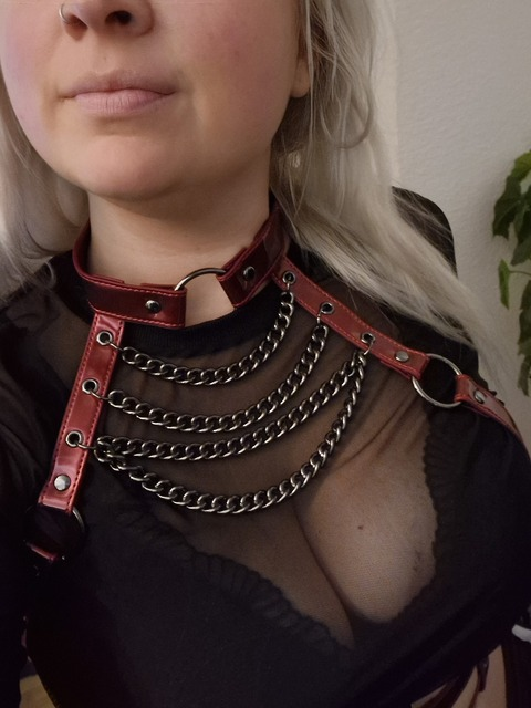 Leaked nekoslittlepaws header onlyfans leaked