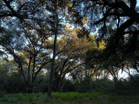 Leaked newlysane header onlyfans leaked