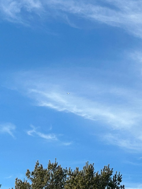 Leaked nicknamecoco header onlyfans leaked