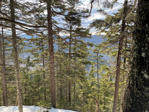 Leaked nicocoa header onlyfans leaked