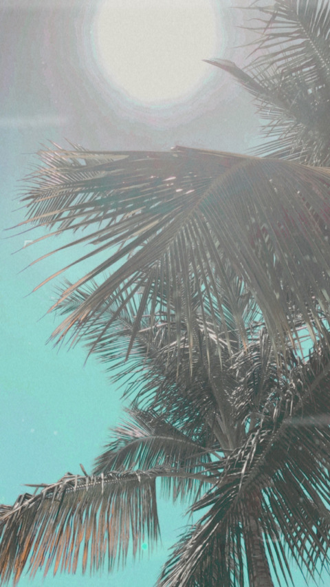 Leaked ninaalexander17 header onlyfans leaked