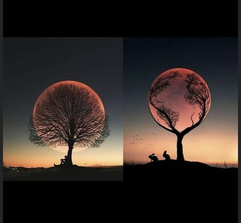 Leaked nitsua6924free header onlyfans leaked