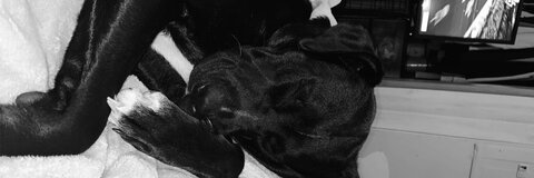 Leaked niwriharas header onlyfans leaked